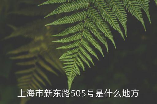 上海市新東路505號地址，想知道 上海市上海閘北共和新路浦東高行俱進路505號在哪
