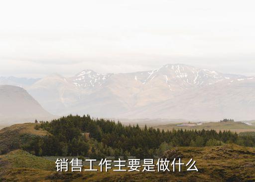 銷售工作，銷售工作的種類有哪些