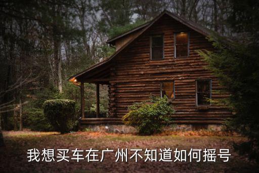 我想買車在廣州不知道如何搖號
