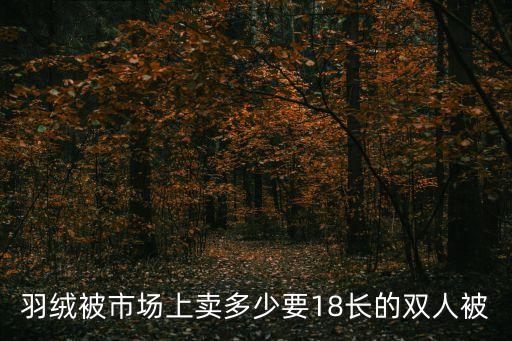 羽絨被市場上賣多少要18長的雙人被
