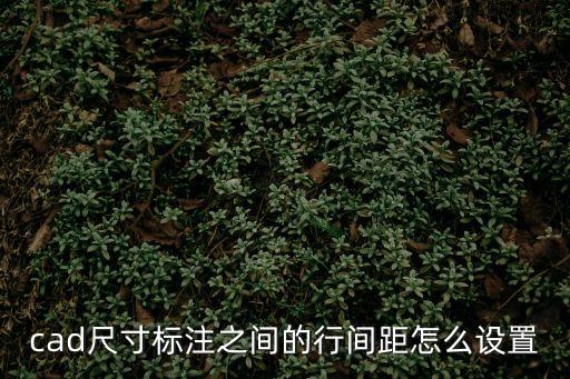 間距怎么設置，cad尺寸標注之間的行間距怎么設置