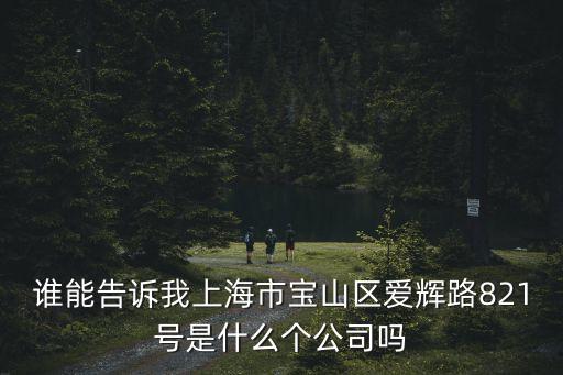 誰能告訴我上海市寶山區愛輝路821號是什么個公司嗎