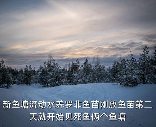 新魚(yú)塘流動(dòng)水養(yǎng)羅非魚(yú)苗剛放魚(yú)苗第二天就開(kāi)始見(jiàn)死魚(yú)倆個(gè)魚(yú)塘