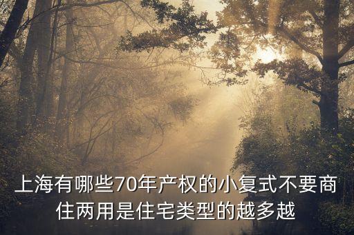 上海市區頂樓復式，上海有哪些70年產權的小復式不要商住兩用是住宅類型的越多越