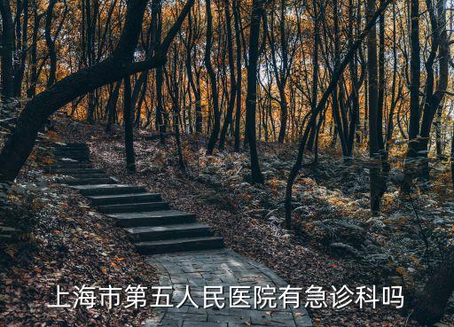 上海市第五人民醫(yī)院有急診科嗎