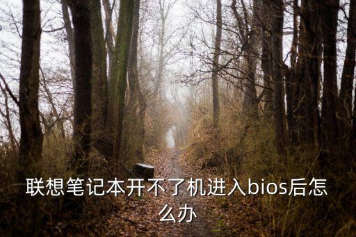 聯想筆記本開不了機進入bios后怎么辦