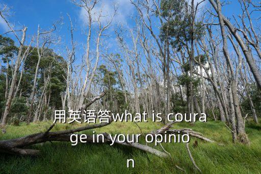 用英語答what is courage in your opinion