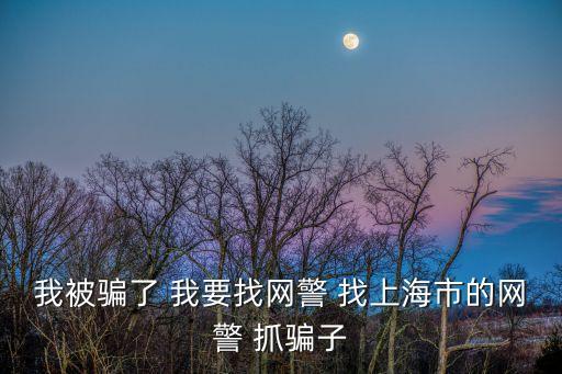 我被騙了 我要找網(wǎng)警 找上海市的網(wǎng)警 抓騙子