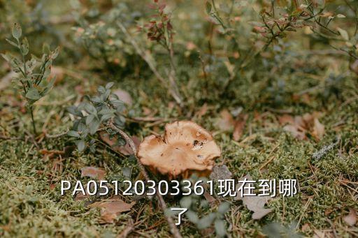 PA05120303361現在到哪了