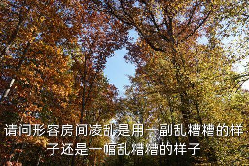 請問形容房間凌亂是用一副亂糟糟的樣子還是一幅亂糟糟的樣子