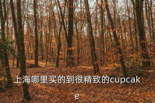 上海哪里買(mǎi)的到很精致的cupcake