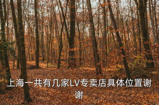上海一共有幾家LV專賣店具體位置謝謝