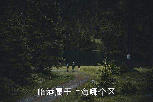 臨港屬于上海哪個區