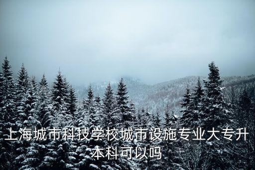 上海市城市科技學校有大專嗎，上海市城市科技學校 是中專 職校 還是技校