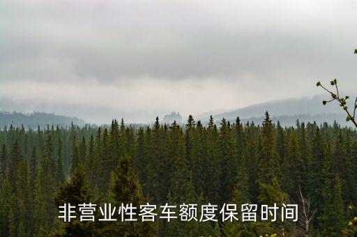 非營(yíng)業(yè)性客車額度保留時(shí)間