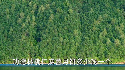 上海市功德林月餅禮盒價格，上海功德林的月餅多少錢一盒