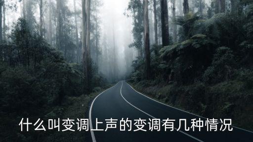 上聲的變調，說說普通話中上聲的變調規律是什么