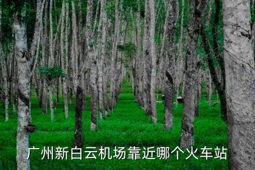 廣州新白云機場靠近哪個火車站