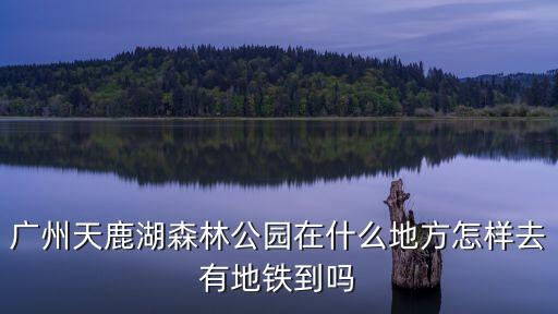 廣州天鹿湖森林公園里面是什么湖，廣州天鹿湖森林公園在哪里