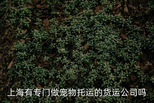 上海有專門做寵物托運(yùn)的貨運(yùn)公司嗎