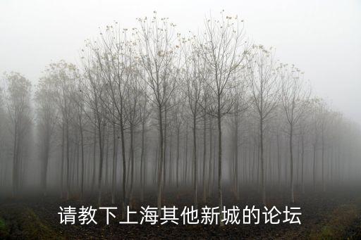 上海市七大新城，請教下上海其他新城的論壇