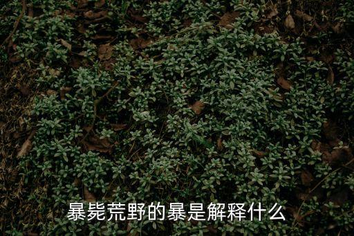 敵戒，暴斃荒野的暴是解釋什么