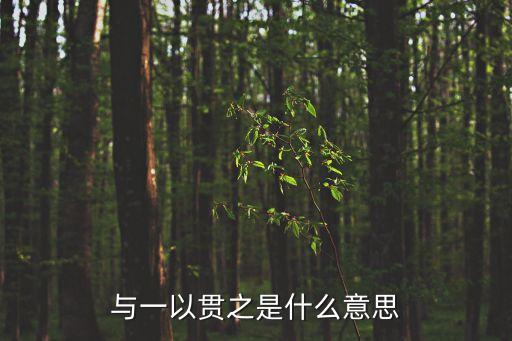 與一以貫之是什么意思