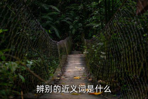 識別的近義詞，辨別的近義詞是什么