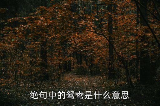 絕句中的鴛鴦是什么意思