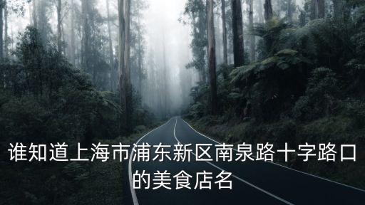 誰知道上海市浦東新區南泉路十字路口的美食店名