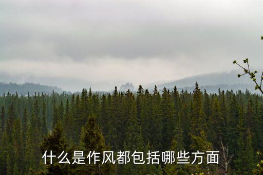 作風方面，工作作風包括哪些