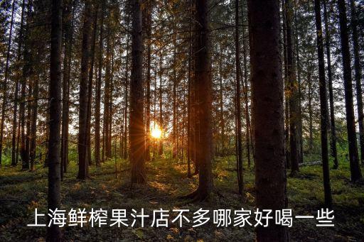 上海鮮榨果汁店不多哪家好喝一些