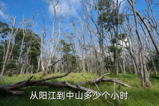 從陽(yáng)江到中山多少個(gè)小時(shí)