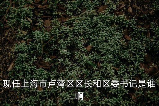 現(xiàn)任上海市盧灣區(qū)區(qū)長和區(qū)委書記是誰啊