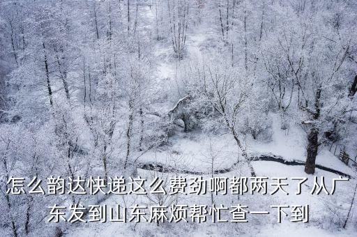 怎么韻達(dá)快遞這么費(fèi)勁啊都兩天了從廣東發(fā)到山東麻煩幫忙查一下到