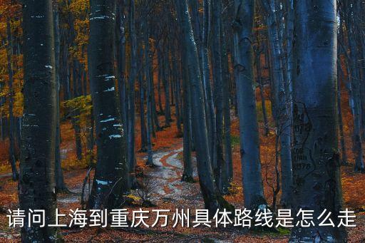 上海市至重慶市萬州，上海到重慶萬州要多少個小時