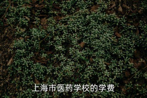 上海市醫(yī)藥學校的學費