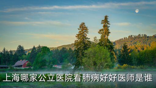 上海哪家公立醫(yī)院看肺病好好醫(yī)師是誰