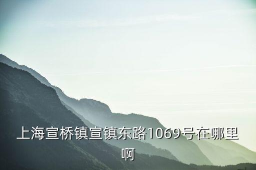 上海市港航管理事務(wù)所，上海宣橋鎮(zhèn)宣鎮(zhèn)東路1069號在哪里啊