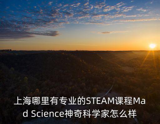 上海哪里有專業(yè)的STEAM課程Mad Science神奇科學(xué)家怎么樣