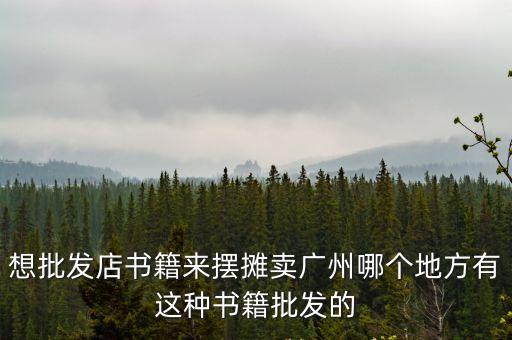 廣州新塘擺攤賣書，廣州哪里有庫存圖書地攤圖書批發(fā)求路線