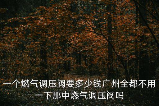 一個燃氣調壓閥要多少錢廣州全都不用一下那中燃氣調壓閥嗎