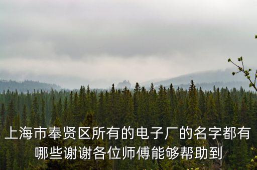 上海市奉賢區所有的電子廠的名字都有哪些謝謝各位師傅能夠幫助到