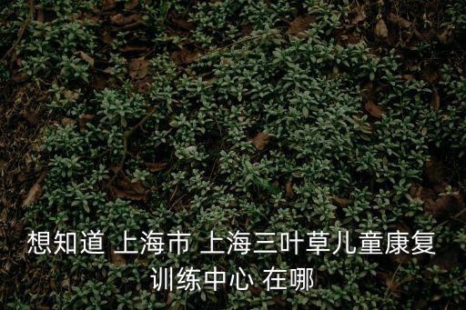 想知道 上海市 上海三葉草兒童康復訓練中心 在哪