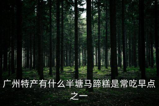 廣州透明的糕點叫什么，廣州特產有什么半塘馬蹄糕是常吃早點之一