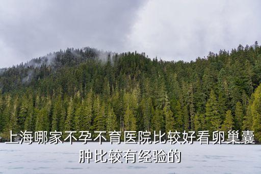 上海哪家不孕不育醫院比較好看卵巢囊腫比較有經驗的