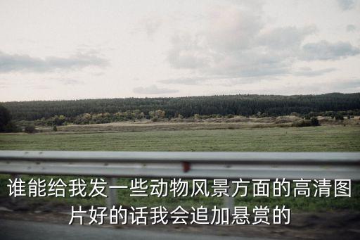誰能給我發一些動物風景方面的高清圖片好的話我會追加懸賞的