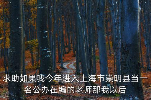 上海市臧翠英調解員，想知道上海市 pudongdadaodaogaomiaozenmozuoche 在哪