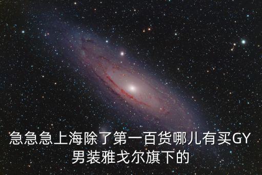 急急急上海除了第一百貨哪兒有買GY男裝雅戈爾旗下的