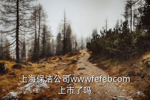 上海保潔公司wwwfefebcom上市了嗎